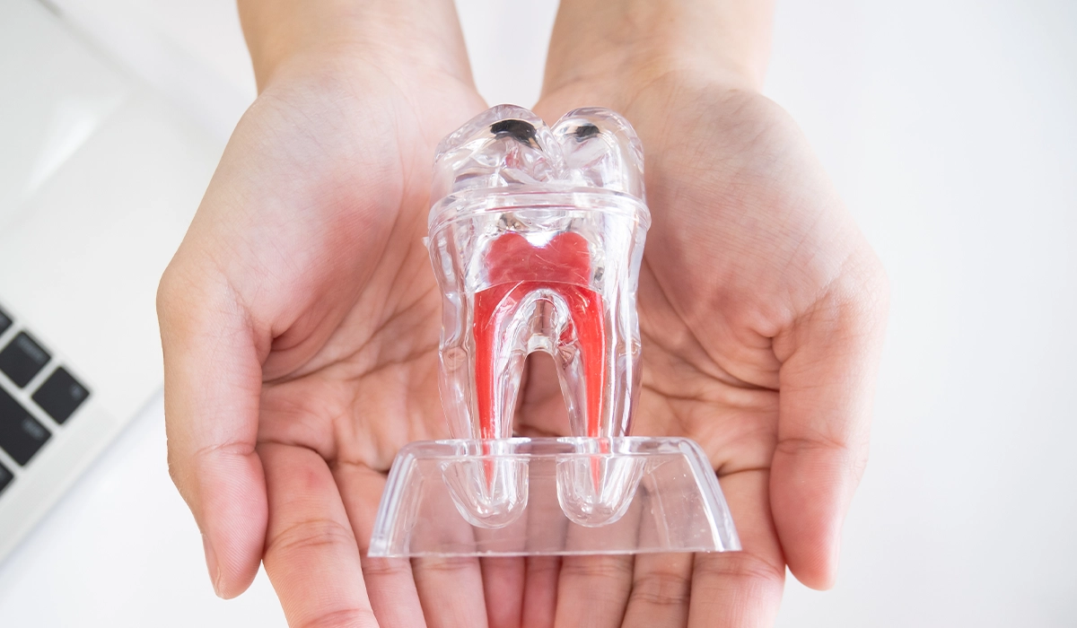 「神経を抜く」前に、まず「残せないか」を考える